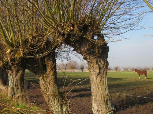 B&B 't Verloren Schaap
