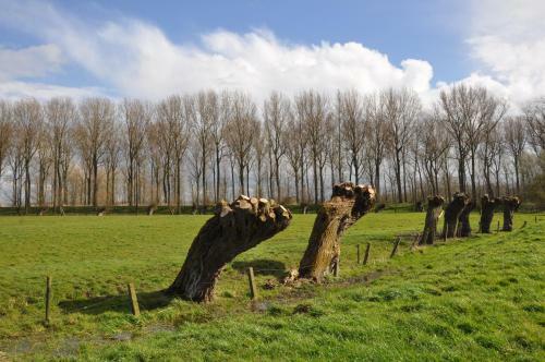 B&B 't Verloren Schaap