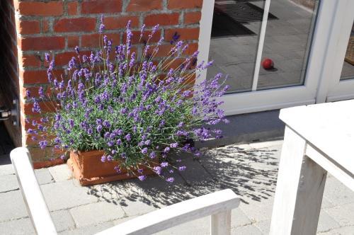 B&B Pierre-marie