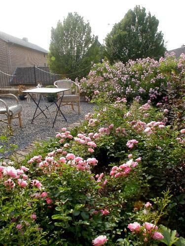 Agroturismo Hotelhoeve De Zwarte Stok