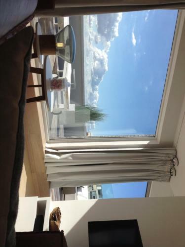 Apartamento Penthouse William