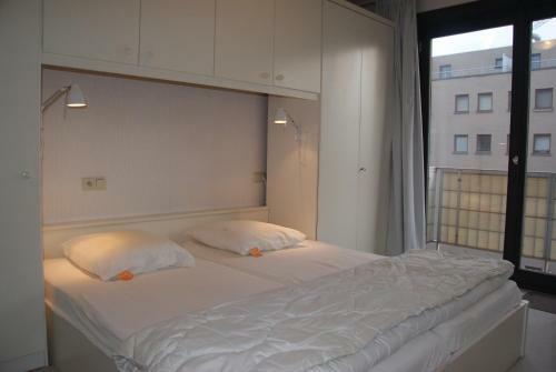 Apartamento Residentie Sofia, Coxy-beach, Iepenwal