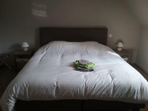 B&B De Dulle Koe