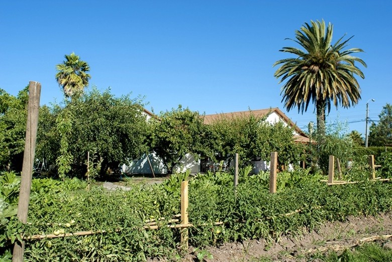 Hotel Casa Pando