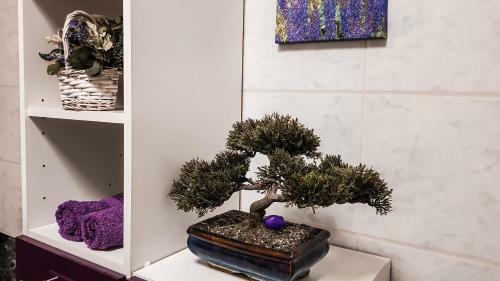 Apartamento Van Gogh
