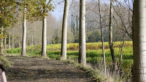B&B Hemel & Haard