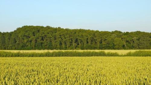 B&B Hemel & Haard