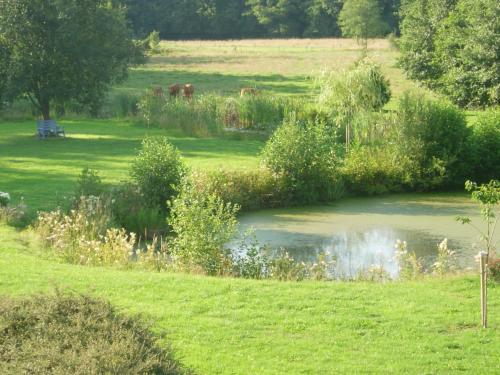 Cozy Holiday Home In Chimay With A Garden