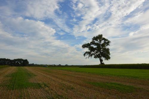 B&B Huize Momentum