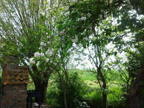 B&B Het Schali�nhof