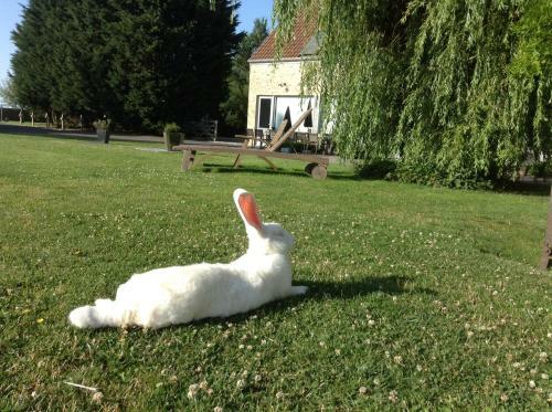 B&B Het Schali�nhof