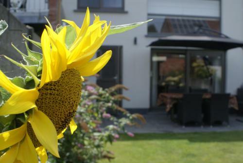 B&B Klinkaart