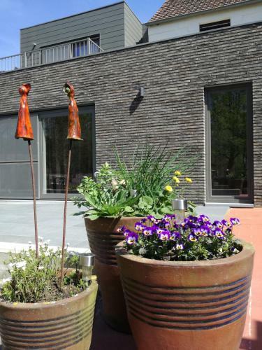 Apartamento Volmolen