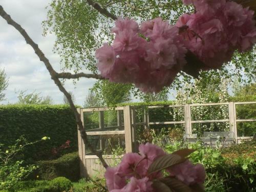 Bed & Breakfast Predikherenhof