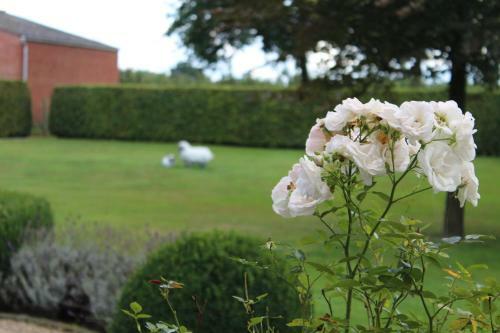 Bed & Breakfast Mille �toiles