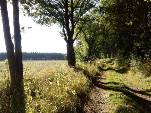 Hotel Schr�der