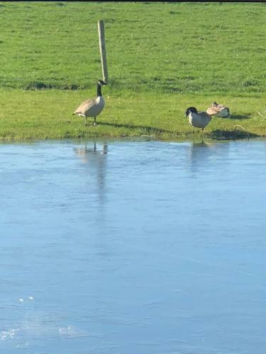 Bed & Breakfast Biga Hoeve