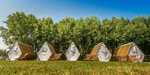Nomad Knokke