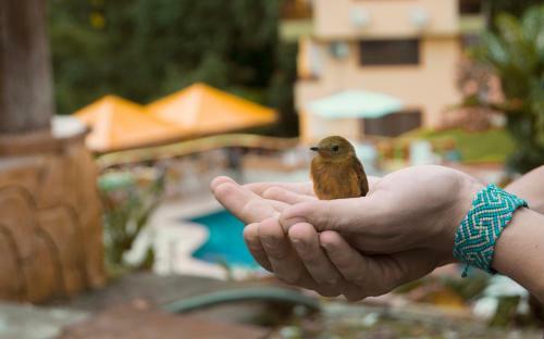 Lodge Hoster�a Kasadasa