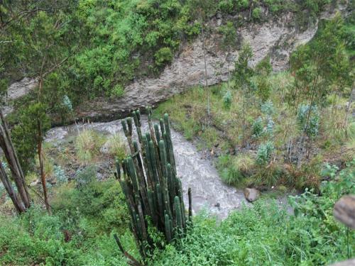 Posada Hosteria Rinc�n De Isabel