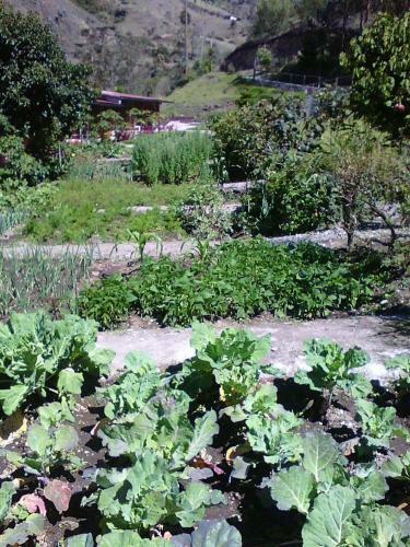 Posada Hosteria Rinc�n De Isabel