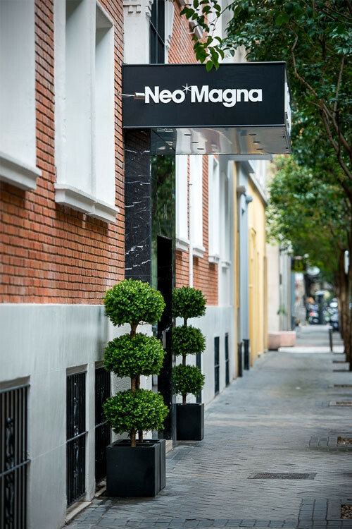 Hotel Neomagna Madrid