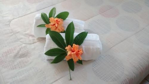 Cabana Pumakari