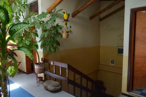 Hostal Condor Matzi