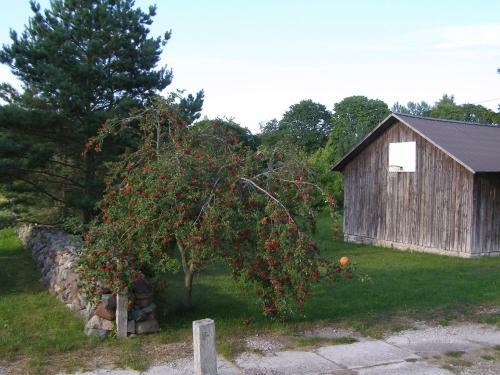 Kipi-koovi Holiday Centre
