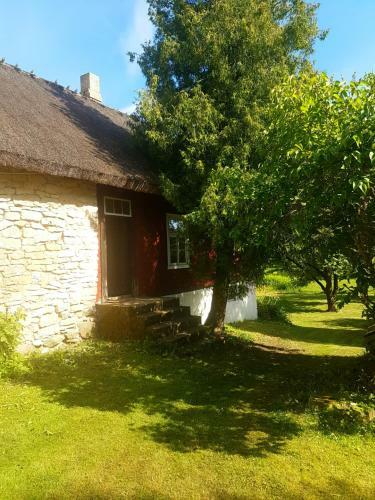 Lodge Paali Cottages