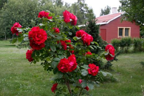 Pullap�� Holiday Center