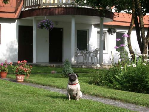Hostal M�nni Guesthouse