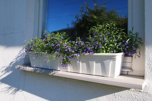 M�nni Holiday House