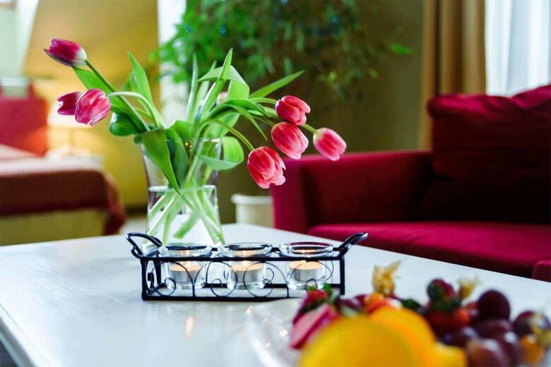 Hotel Metsis