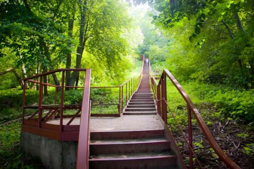 Camping M�nnisalu