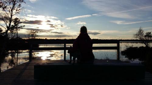 Vahtrapuu Holiday Home