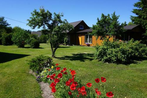 Hostal Kelluka Holiday House
