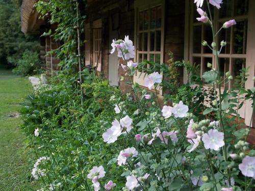 Hostal Kotka Farm