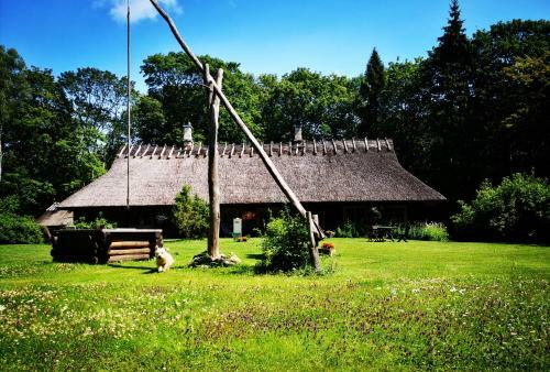 Hostal Kotka Farm