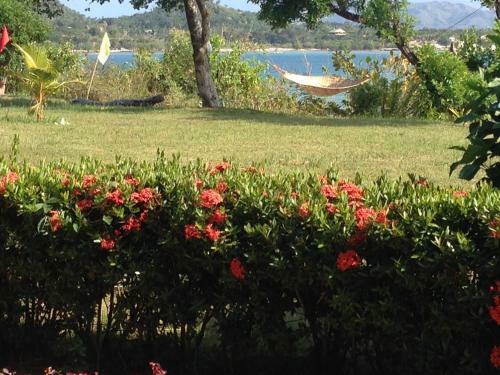 Hotel Buenavista Paradise Resort