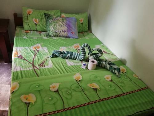 Tiu Homestay