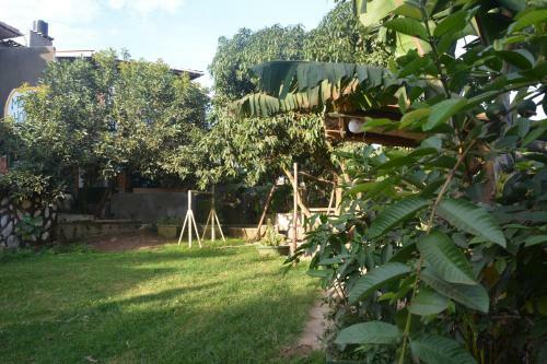 Hostal Merabu Homes