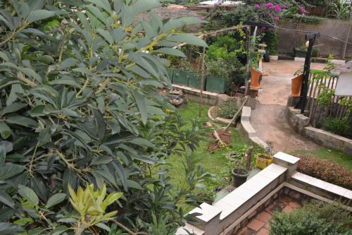 Hostal Merabu Homes
