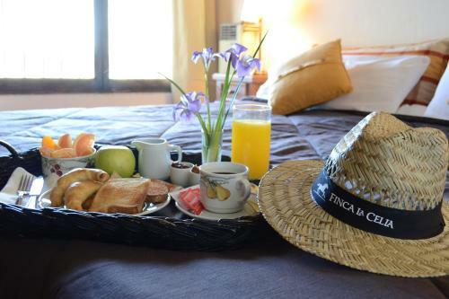 Hostal Posada La Celia Inn