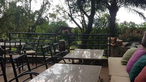 Hotel Kampala Forest Resort