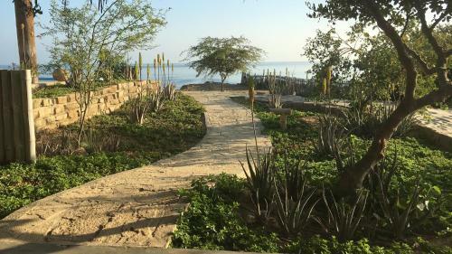 Hotel La Playa