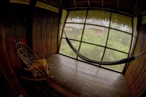 Hostal Heliconia Amazon River Lodge
