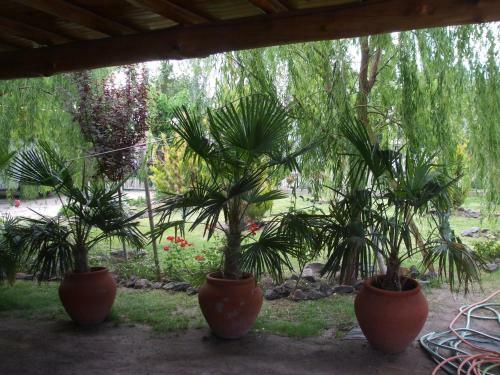 Apartamento Complejo La Piedra