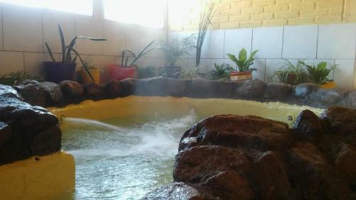 Hostal Complejo Solitudine