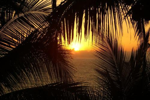 Hostal Punta Brava